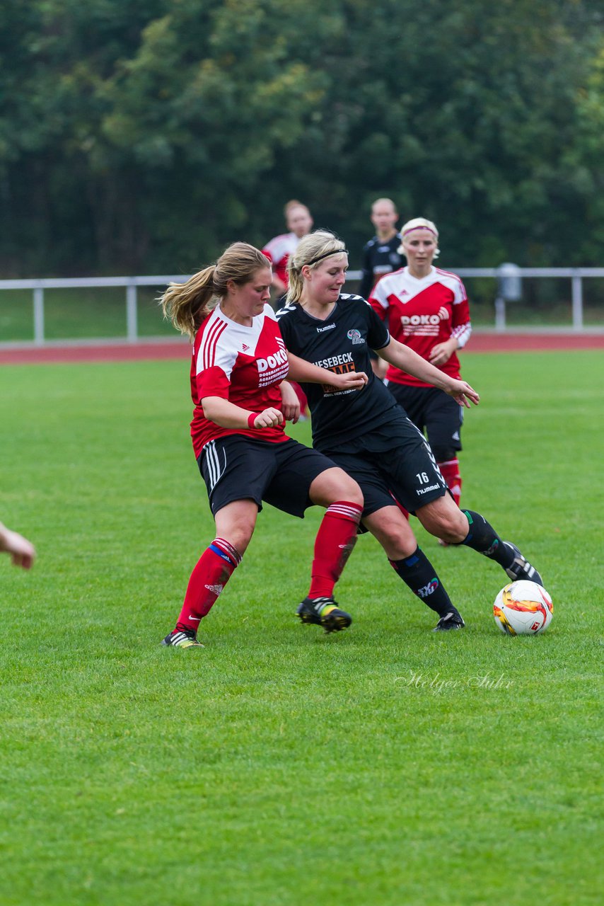 Bild 299 - Frauen TSV Schnberg - SV Henstedt Ulzburg 2 : Ergebnis: 2:6